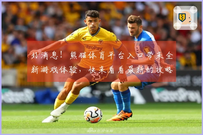 好消息！熊猫体育平台入口带来全新游戏体验，快来看看最新的攻略和玩法！