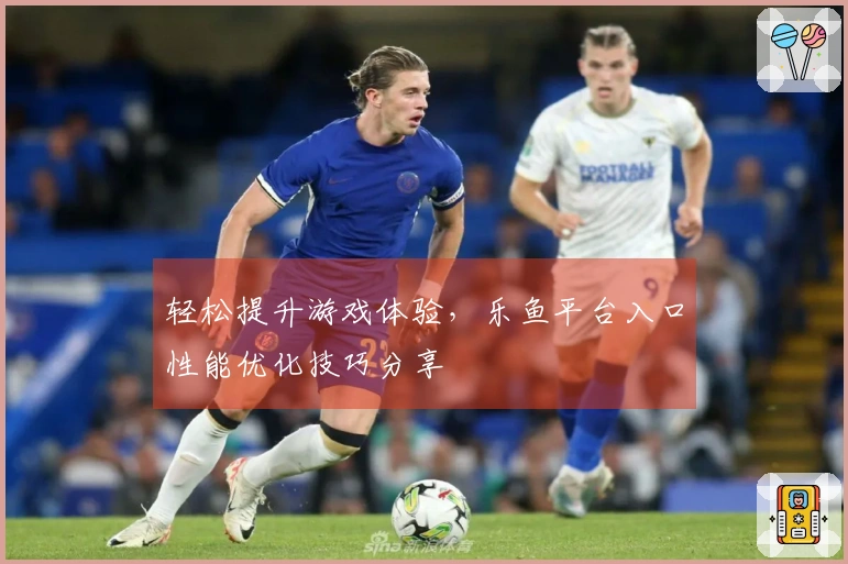 轻松提升游戏体验，乐鱼平台入口性能优化技巧分享