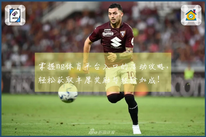 掌握ng体育平台入口的活动攻略，轻松获取丰厚奖励与经验加成！