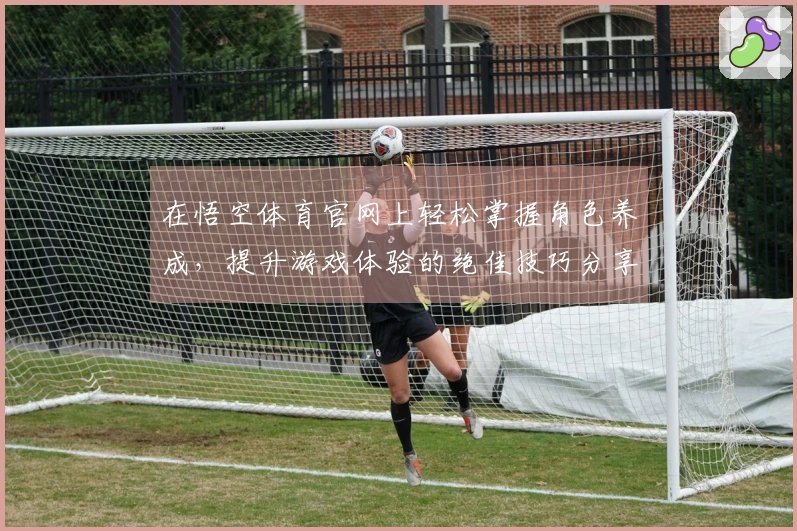 在悟空体育官网上轻松掌握角色养成，提升游戏体验的绝佳技巧分享！